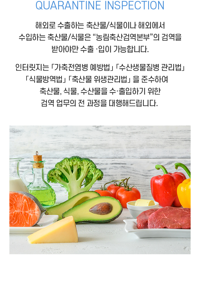 /_files/6j-HJNg0o.jpg
